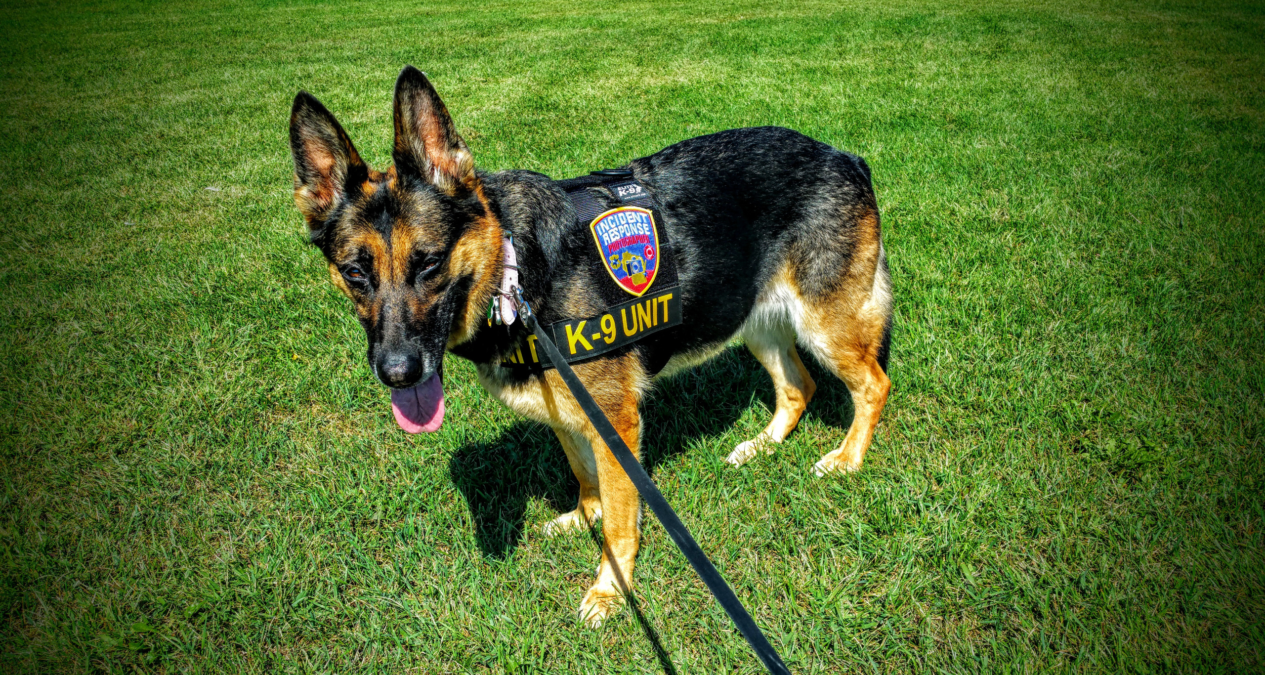 Incident Response K-9 Unit